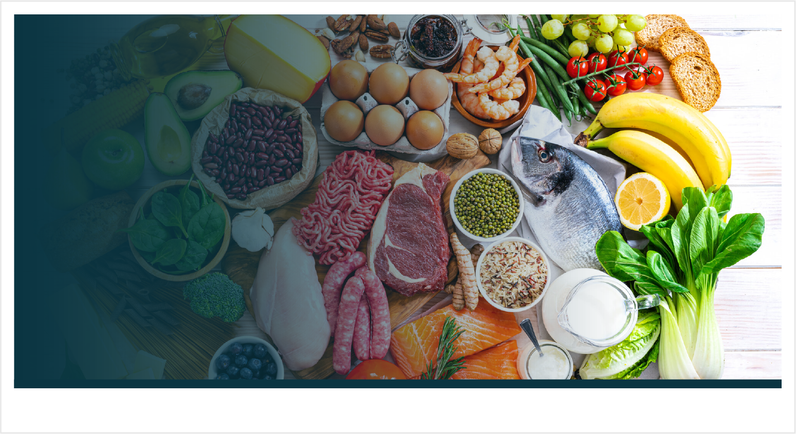 World Food and Agriculture Leadership Platform - Global Summit Banner